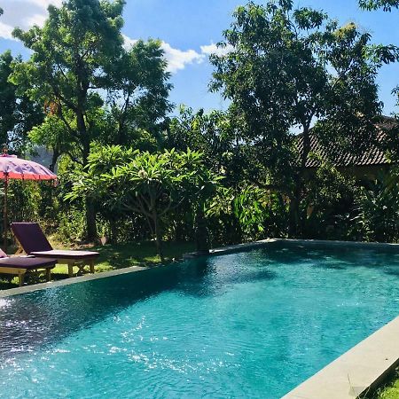 Mango Moon Hotel Pemuteran Kültér fotó