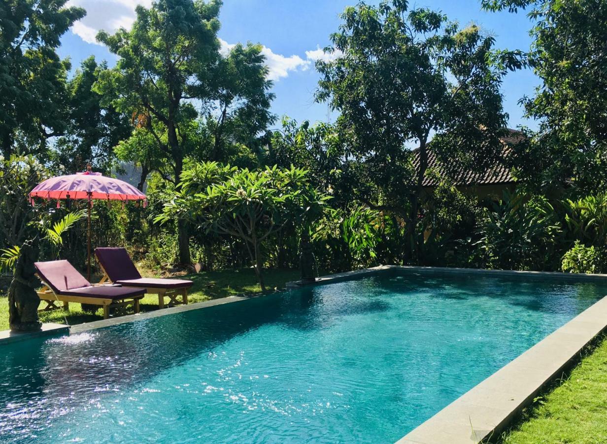 Mango Moon Hotel Pemuteran Kültér fotó